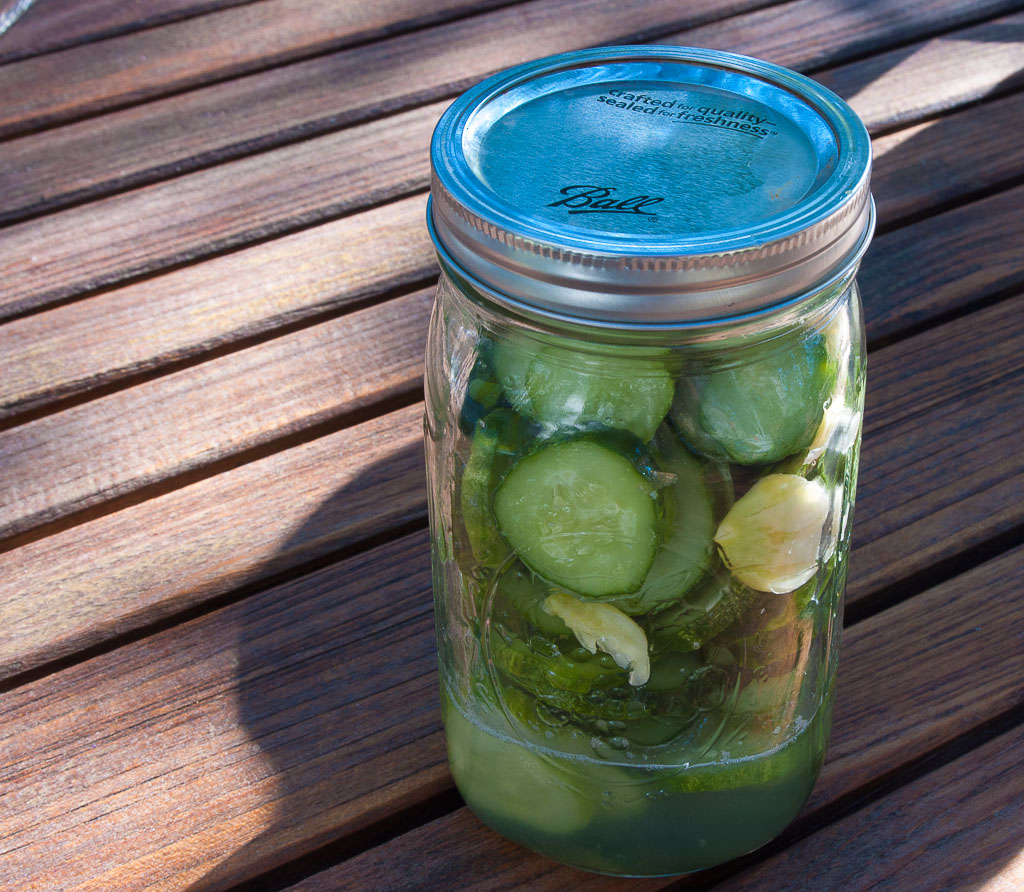 Glass Ball Jar of quick refrigerator pickles with garlic - "Quickles"